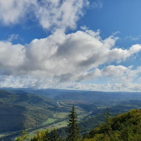 Tisina Tare Villa Bajina Basta Buitenkant foto