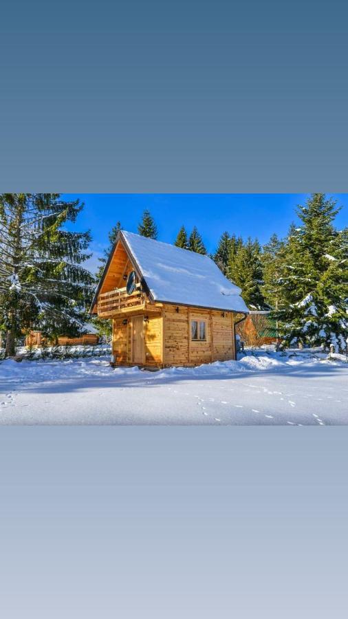 Tisina Tare Villa Bajina Basta Buitenkant foto