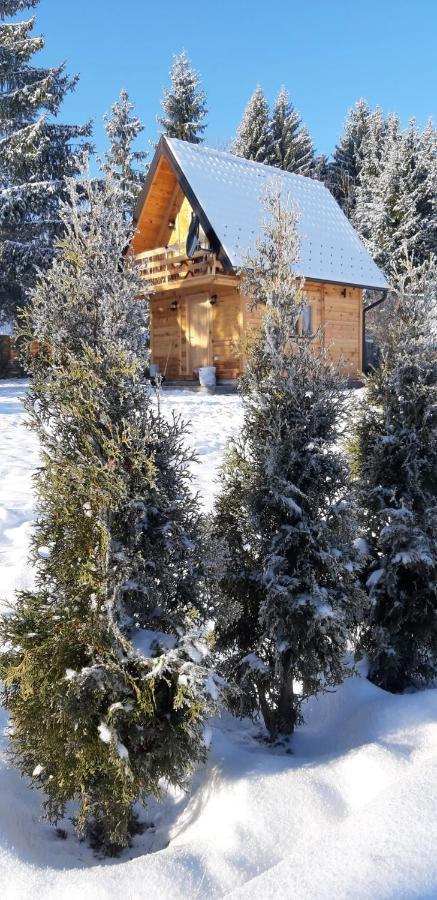 Tisina Tare Villa Bajina Basta Buitenkant foto