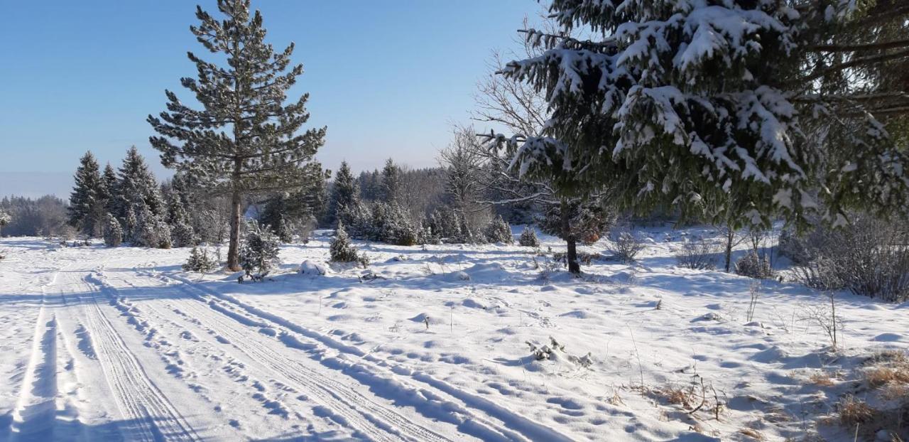 Tisina Tare Villa Bajina Basta Buitenkant foto