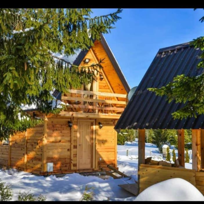 Tisina Tare Villa Bajina Basta Buitenkant foto