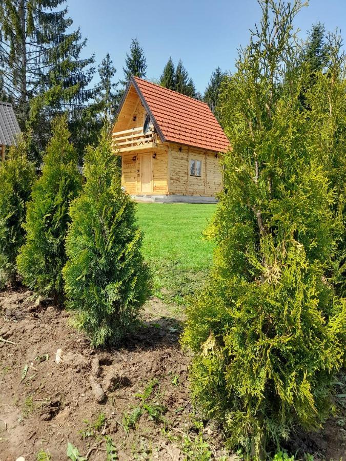 Tisina Tare Villa Bajina Basta Buitenkant foto